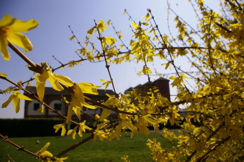 Villa Agriturismo Cascina Nuova Valenza Exterior foto