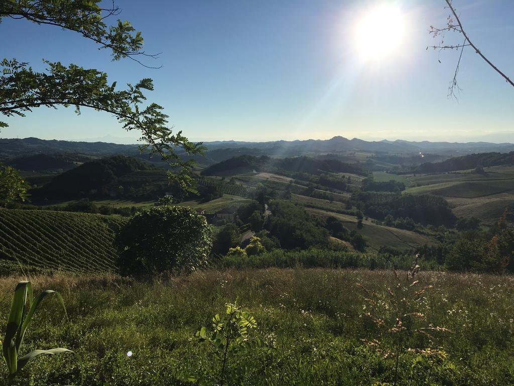 Villa Agriturismo Cascina Nuova Valenza Exterior foto