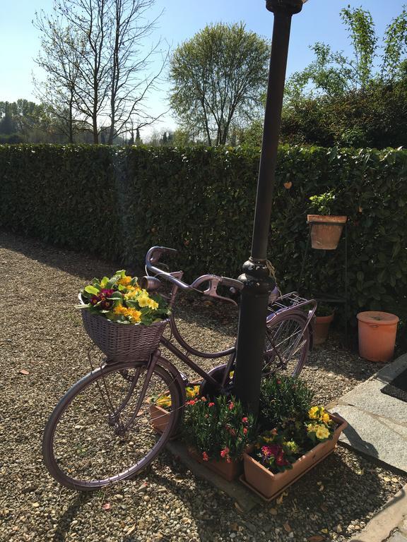 Villa Agriturismo Cascina Nuova Valenza Exterior foto