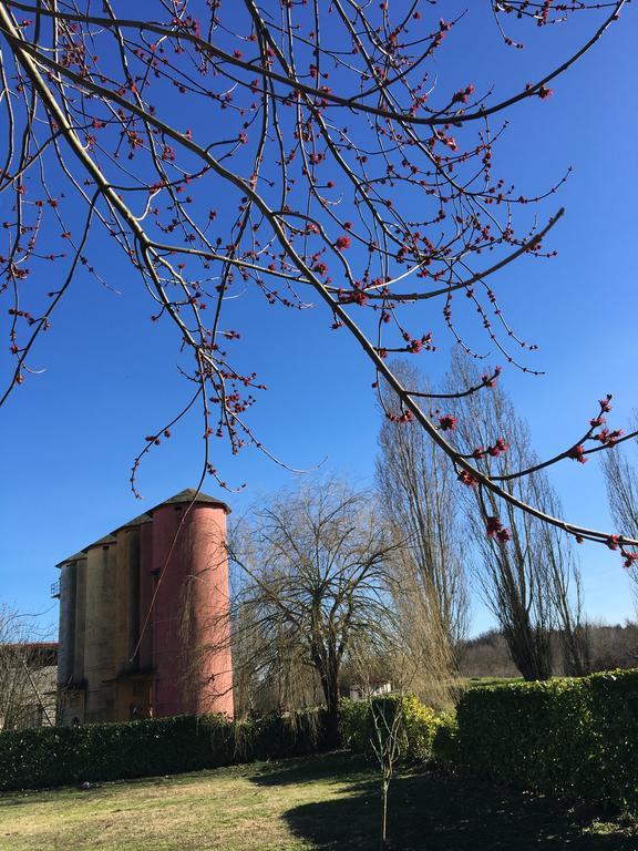 Villa Agriturismo Cascina Nuova Valenza Exterior foto