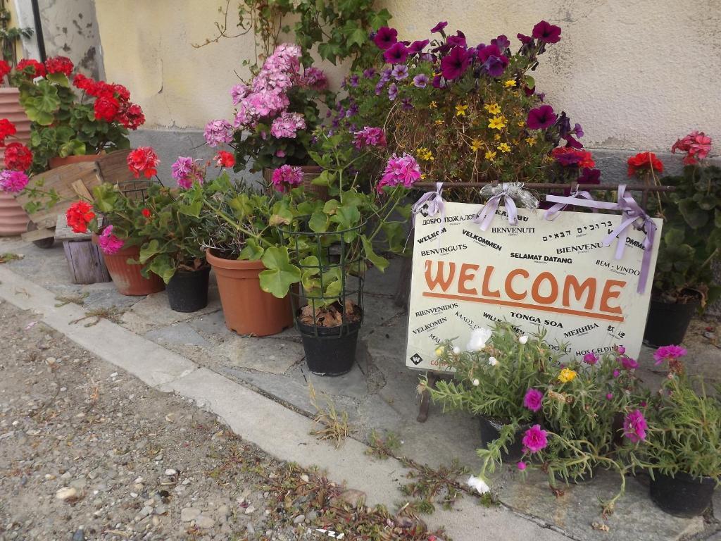 Villa Agriturismo Cascina Nuova Valenza Exterior foto