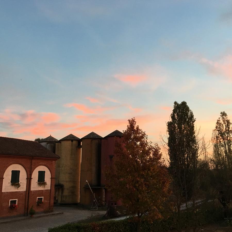 Villa Agriturismo Cascina Nuova Valenza Exterior foto