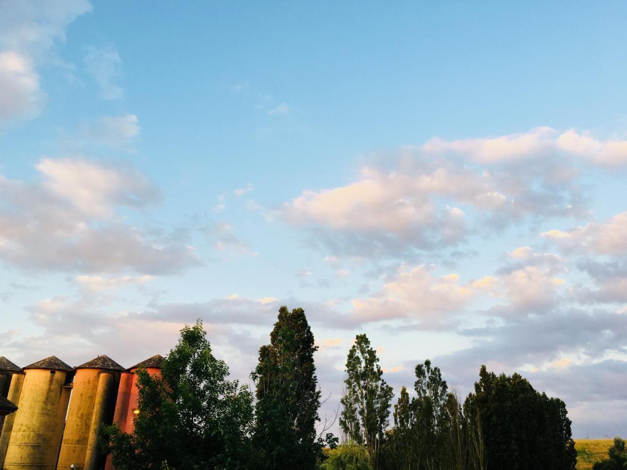 Villa Agriturismo Cascina Nuova Valenza Exterior foto