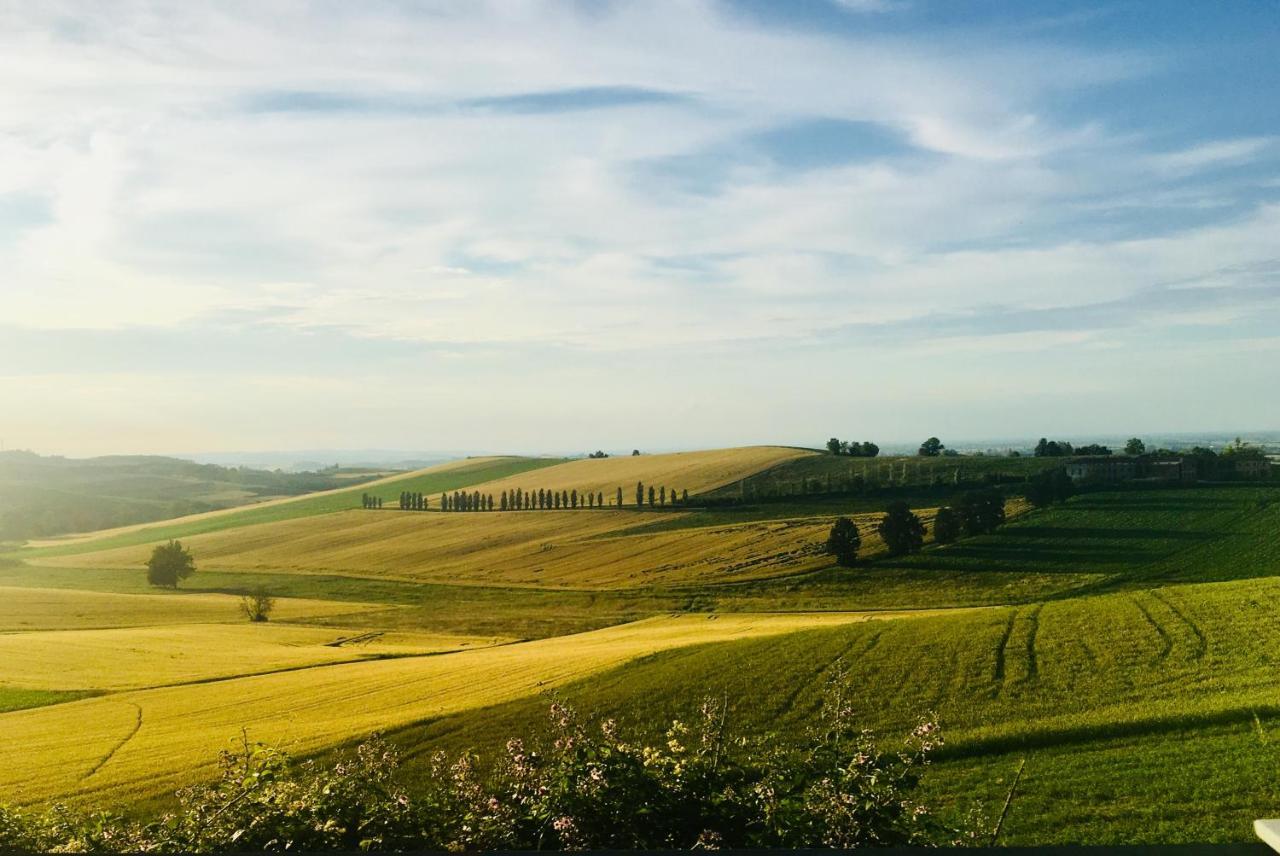 Villa Agriturismo Cascina Nuova Valenza Exterior foto